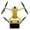 Gold_RCN1 remote control, variant on lanema PVC Stickers for Mini 3 Pro Screen Remote Control Sticker Scratch Resistant Waterproof Cool Body PVC Skin Accessories