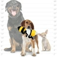 thumbnail image 5 of Mighty Bug Bee Durable Plush Dog Toy, 5 of 7
