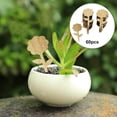 thumbnail image 4 of Etiquetas de plantas conjunto de etiquetas en maceta plantas guardería 60 piezas flor C Cola Etiqueta de plantas, 4 of 8