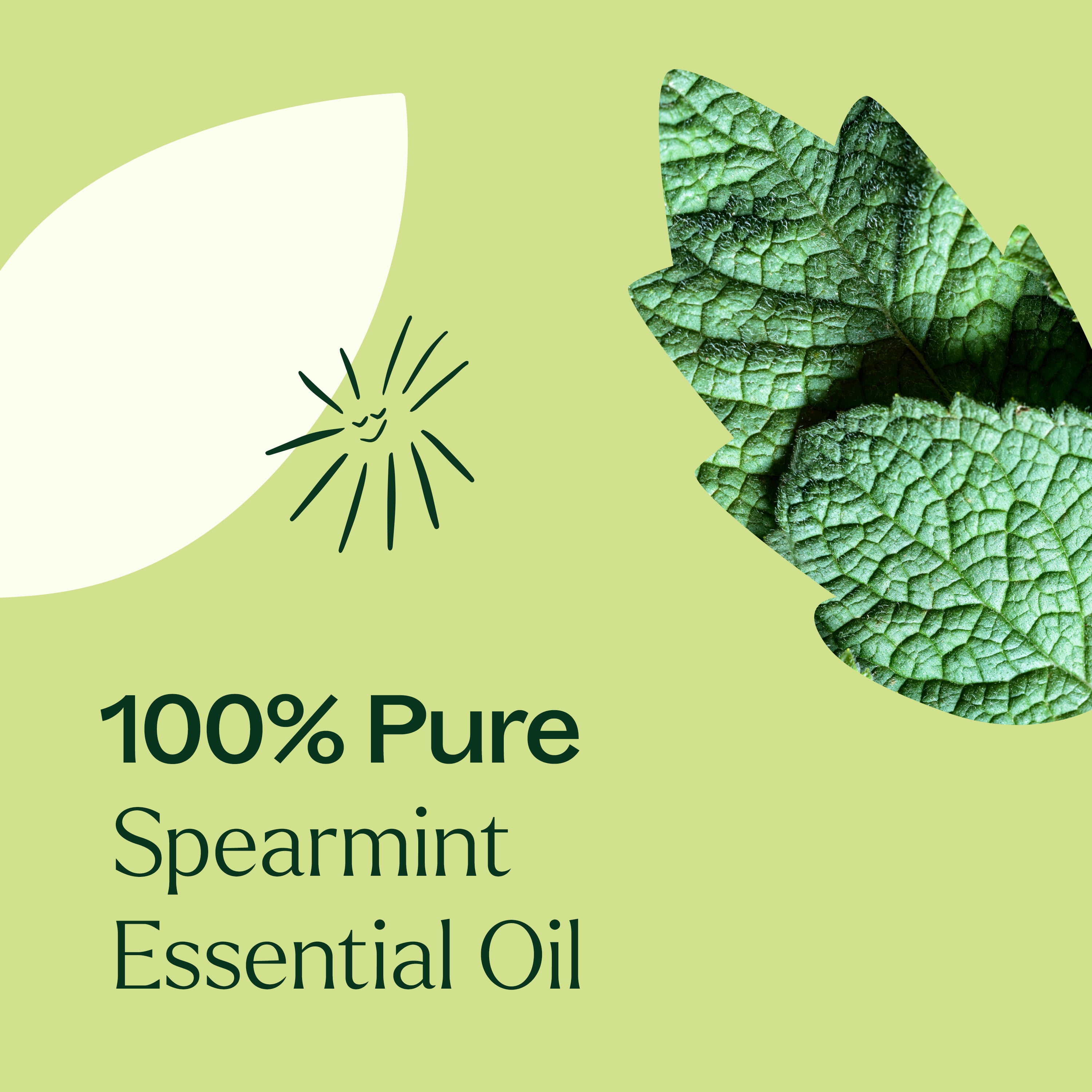 Plant Therapy Spearmint Essential Oil 30 mL (1 oz) 100% Pure, Undiluted, Natural Aromatherapy