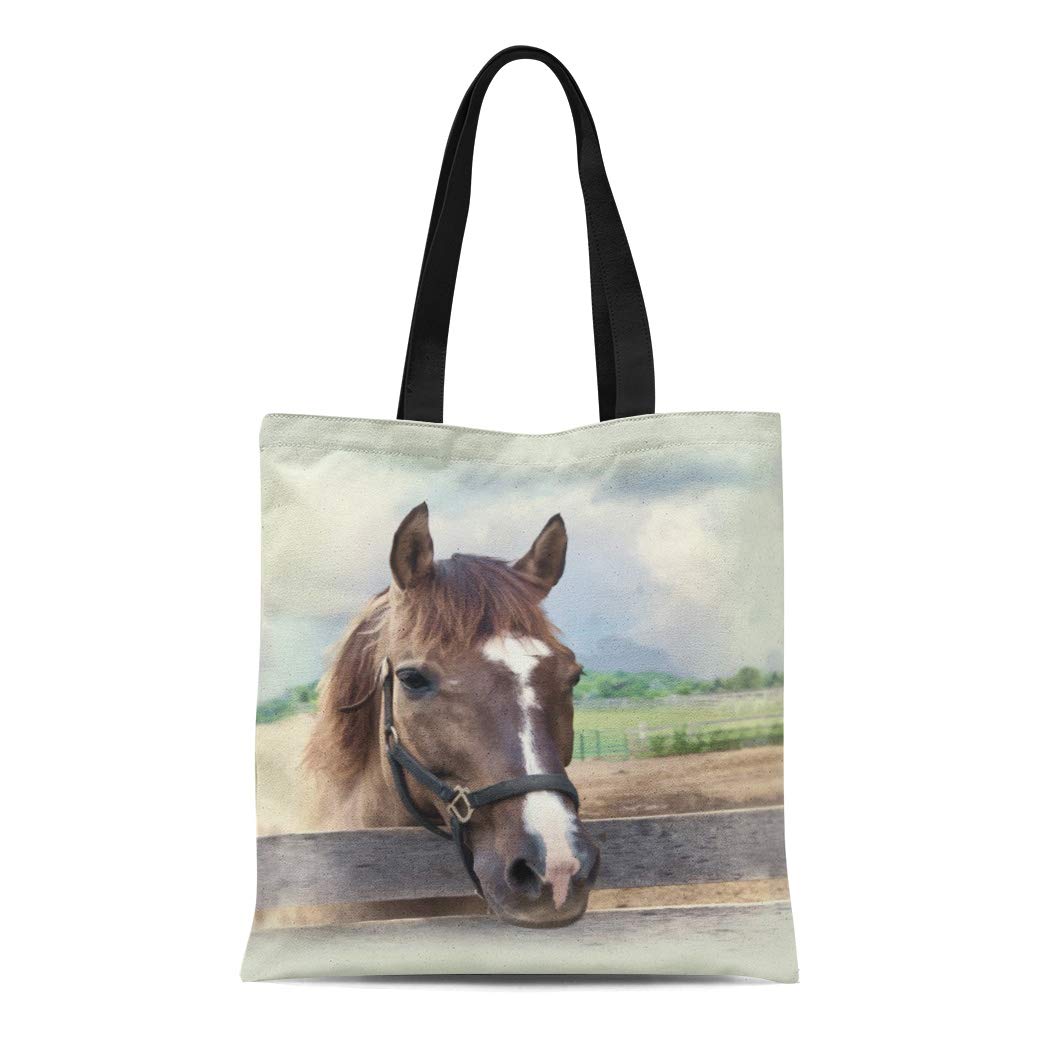 ASHLEIGH Canvas Tote Bag Horses Brown Horse Halter Paddock Nature