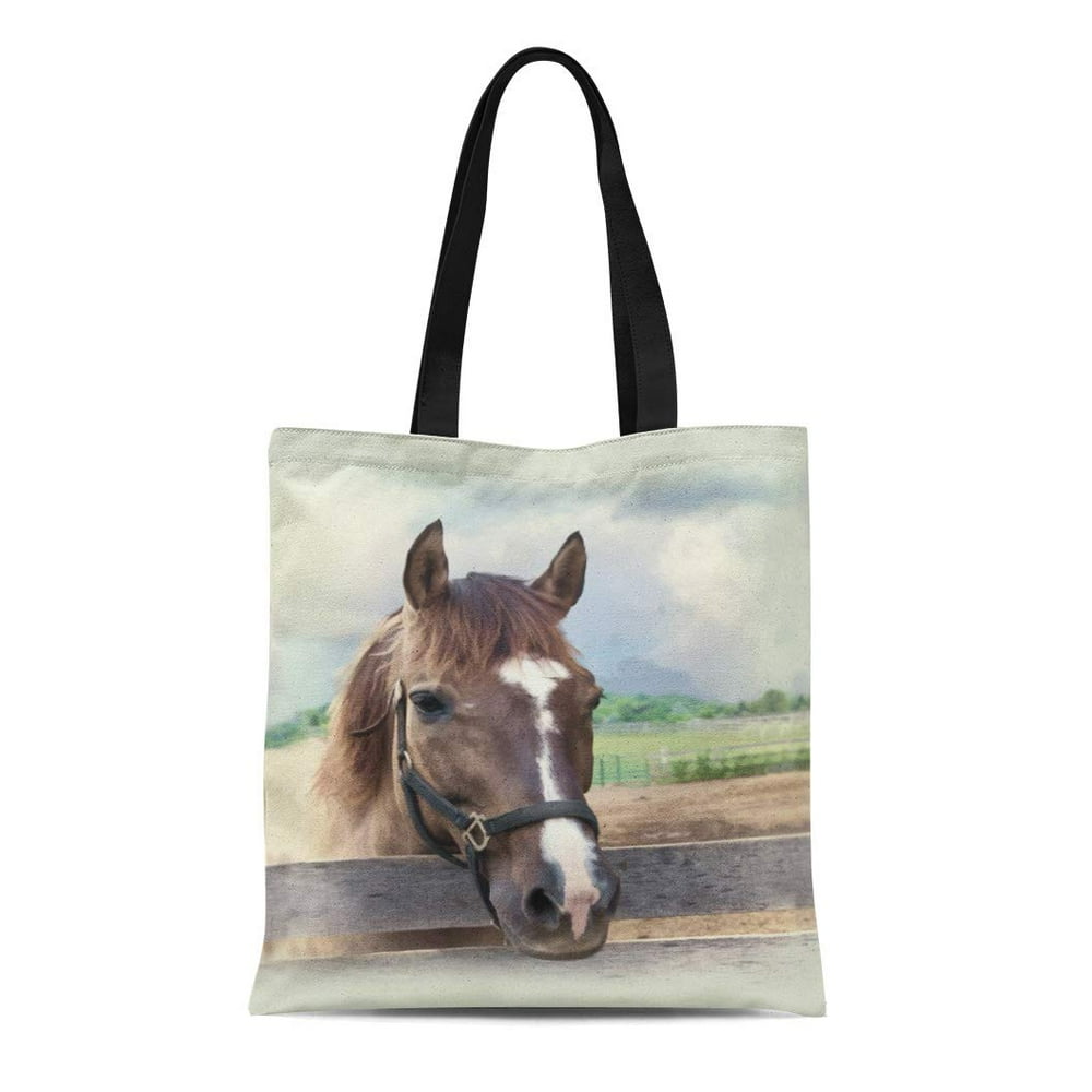 ASHLEIGH Canvas Tote Bag Horses Brown Horse Halter Paddock Nature