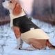 thumbnail image 4 of Chaqueta reflectante para perros abrigo invierno grueso cómodo ANGGREK Otros, 4 of 8