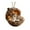 A, variant on Beautynvta Animal Christmas Ornaments, Cozy Forest Animal in Acorn Ornaments for Christmas Tree, 2D Acrylic Flat Woodland Animal Pendant for Home Party Decor