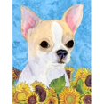 thumbnail image 1 of 28 x 40 in. Chihuahua Flag Canvas House Size, 1 of 1
