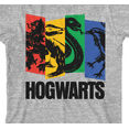 thumbnail image 2 of Harry Potter 4 Hogwarts Houses Youth Boys Heather Gray T-Shirt-Large, 2 of 4