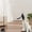 Black, variant on Andiker Cat Toys for Indoor Cats, 2 in 1 Cat Stick with Powerful Suction Cup Cat Feather Toy with Bell Self-Play Cat Teaser Stick for Indoor Cats Do More Exercise to Release Stress&Kill Time