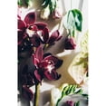 thumbnail image 3 of Sawall, Anastasia 13x18 Black Modern Framed Museum Art Print Titled - Flower Mood, 3 of 5