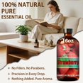 thumbnail image 2 of Aceite Esencial Zodion Fragancia de Fresa 480 ml, 2 of 9
