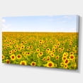 thumbnail image 2 of Beautiful Sunflowers Garden - Floral Canvas Art Print, 2 of 3