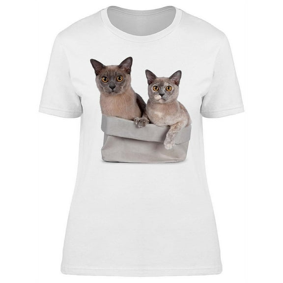 Two Cute Cats In A Box T-Shirt Women -Image by Shutterstock, Female Large