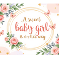 thumbnail image 4 of Floral Design Baby Shower Banner Girl Arrival Pink Flowers Butterfly Decoration for Newborn Celebration Party Event, 4 of 8