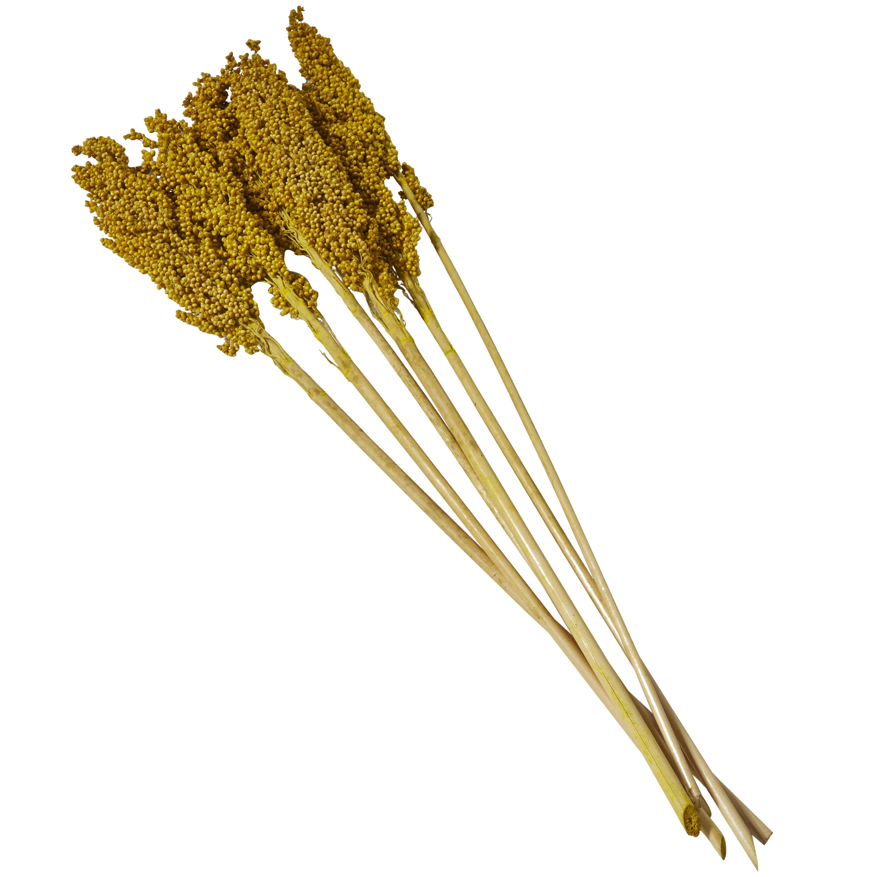 30" Dried Plant Natural Foliage Corn Maze Bouquet with Long Stems, by DecMode