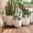 Beige, variant on Euroco Large Concrete Planter Set of 3, 16.93"+13.78"+11.02" Dia Round Stackable Flower Pots with Drainage Holes and Rubber Plug,Modern Decorative Pots for Patio Garden Balcony Indoor Outdoor