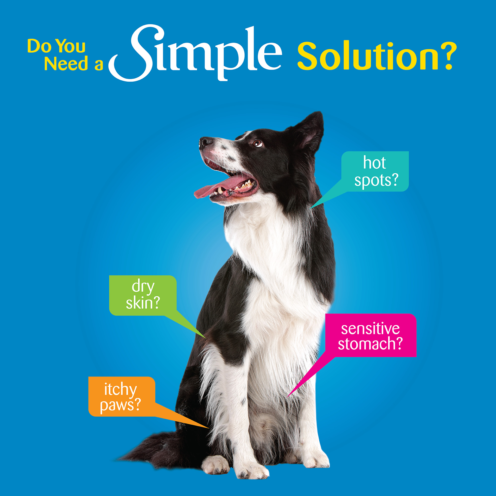 wellness simple natural limited ingredient dry dog food lamb & oatmeal