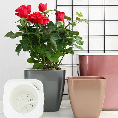Cheer US Self Watering Pots for Indoor Plants  Flower Pots Outdoor  Self Watering Planter  Plant Pots with Decorative Stones  Flower Pot  Plant Pots Indoor  Flower Pots Indoor