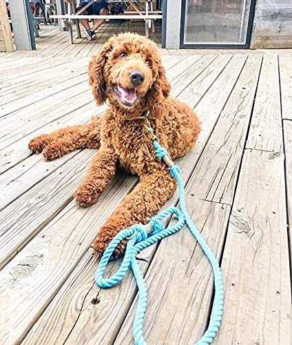 Light Blue Rope Dog Leash - Glow Pups