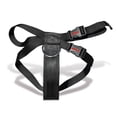 thumbnail image 1 of Cinturon de Seguridad para Mascotas MIKELS 452044-30, 1 of 3
