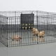 thumbnail image 4 of Bolsa de alimentación de heno para conejos y conejillos de indias MFZFUKR 220904-1, 4 of 8