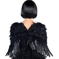 thumbnail image 1 of AMSCAN Black Feather Angel Wings, 1 of 2