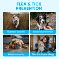 thumbnail image 2 of Masticables contra pulgas y garrapatas Pawzitive Pets 120 masticables blandos, 2 of 9