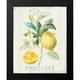 thumbnail image 2 of Nai, Danhui 12x14 Black Modern Framed Museum Art Print Titled - Floursack Lemon IV, 2 of 5