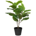 thumbnail image 2 of Northlight Two-Tone Fiddle Leaf Fig Artificial Potted Plant - 26" - Green, 2 of 8