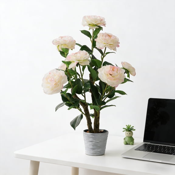 IARTTOP Camellia Bonsai Tree Natural Trunk Light Pink Flower with Pot for Home Office Living Room Bedroom Indoor Tabletop Desk 1.5 ft