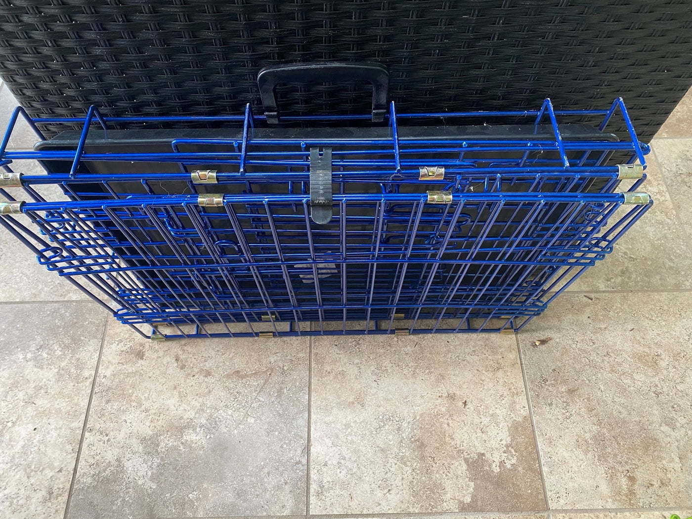 Pet Expressions 48 Inch Blue Colored Metal Wire Dog Crate - Available in Various Sizes and Colors