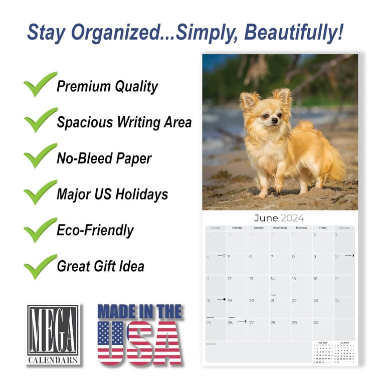 2023 2024 Chihuahua Calendar - Dog Breed Monthly Wall Calendar - 12 x 24  Open - Thick No-Bleed Paper - Giftable - Academic Teacher's Planner Calendar  Organizing & Planning - Made in USA - Walmart.com