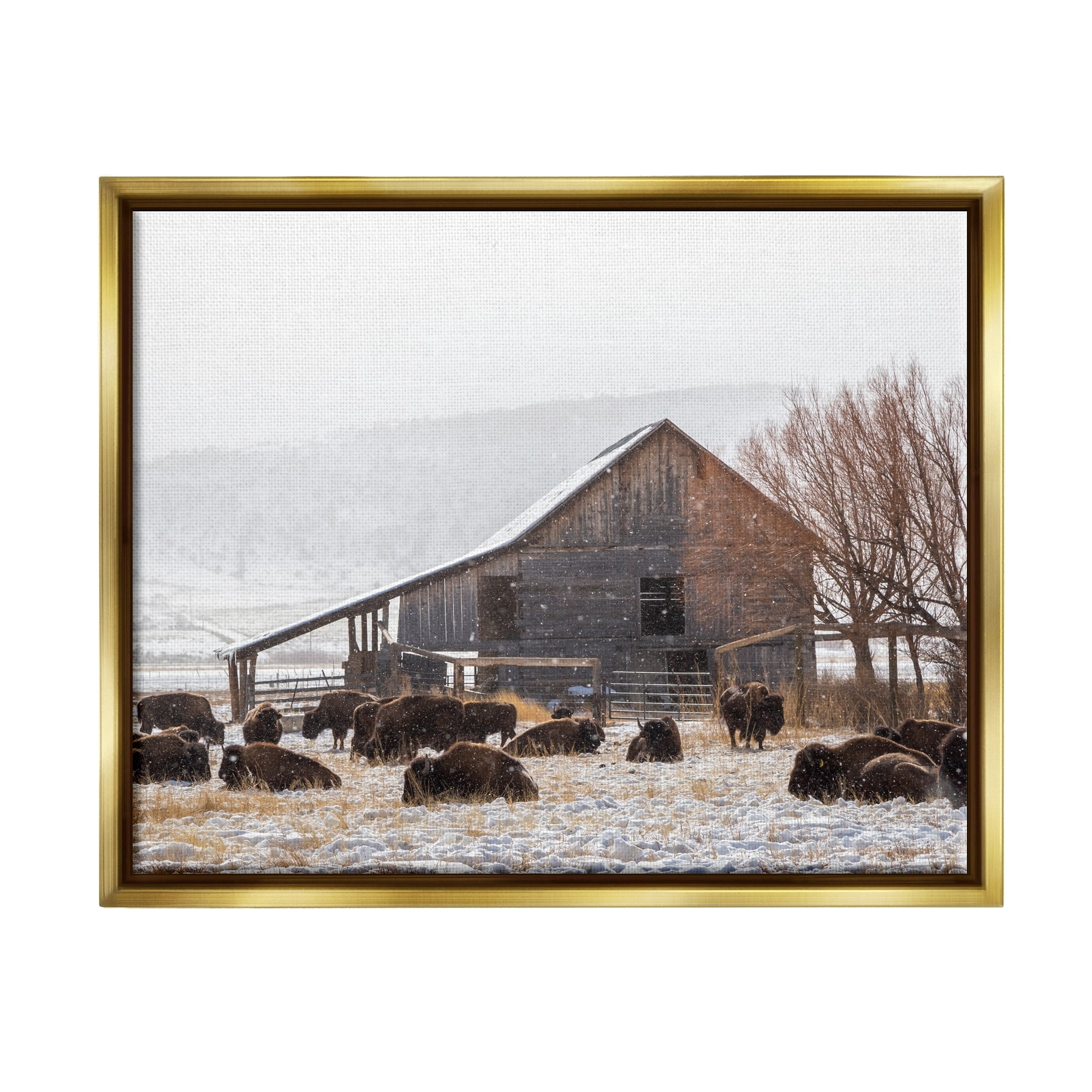 Stupell Industries Snow Dusted Barn Buffalo Bison Rural Farm Photograph Metallic Gold Floating Framed Canvas Print Wall Art, Design by Jeff Poe Photography