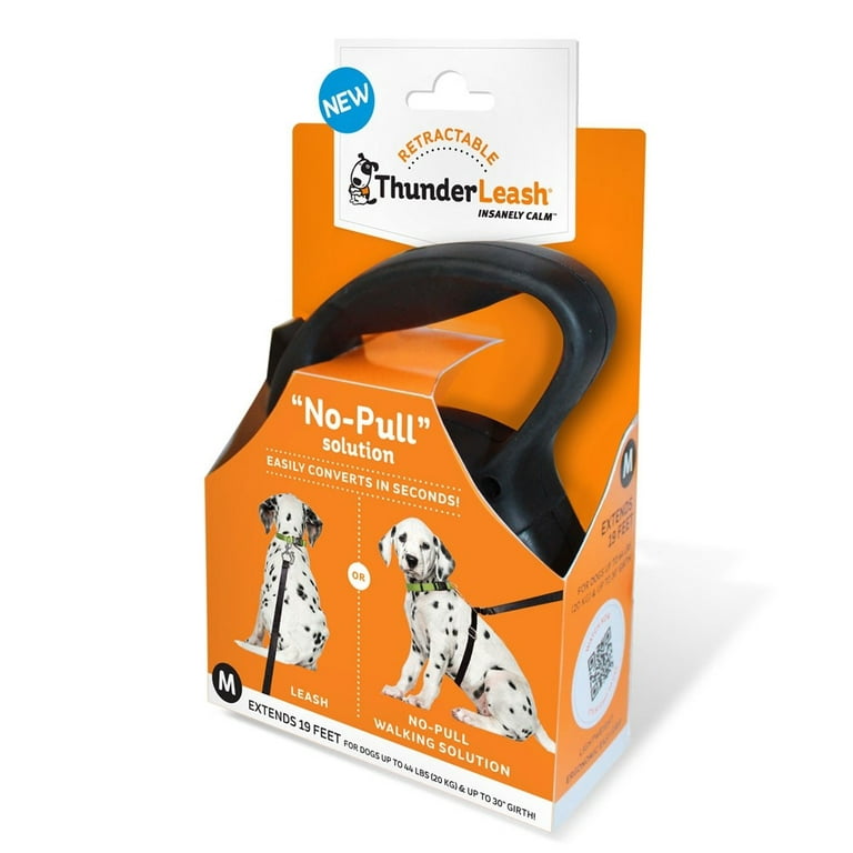 The 11 Best Retractable Dog Leashes for 2023 - PureWow