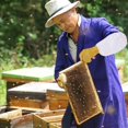 thumbnail image 4 of ER Gants d'apiculture (jaune XL), gants de protection en peau de mouton, manches longues et résistants, idéaux pour les débutants en apiculture Rojo Verde, 4 of 5