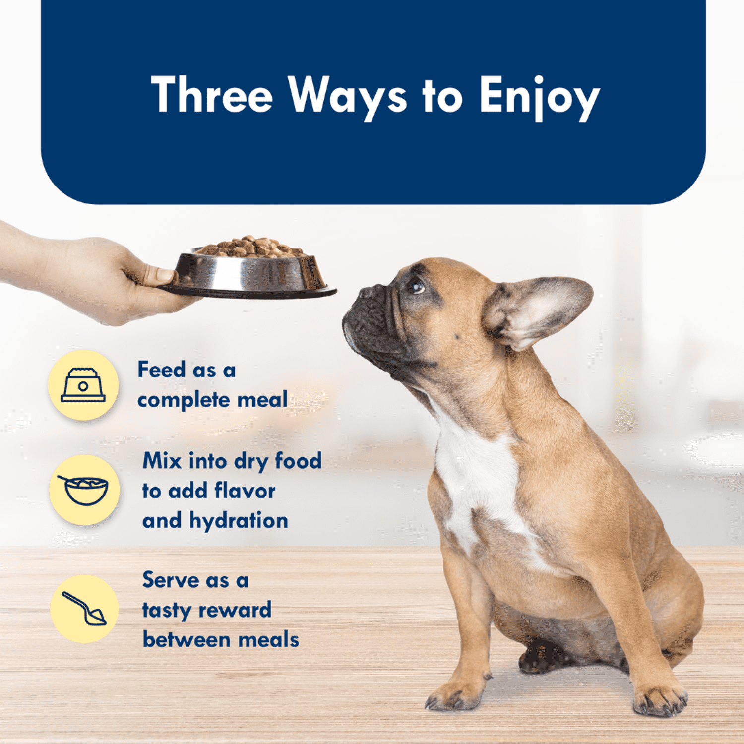 Blue Buffalo Delights Roasted Turkey Flavor Pate Dog Food Trays, 3.5-oz, 99g