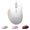 white, variant on Silent Dual Mode Wireless Mouse Rechargeable, Bluetooth 5.3 + 2.4GHz USB Receiver, USB-C Charging 500mAh Long Battery, 3-Level DPI Adjustable, Ergonomic Right-Hand Mouse for Windows Mac Chrome Tablet