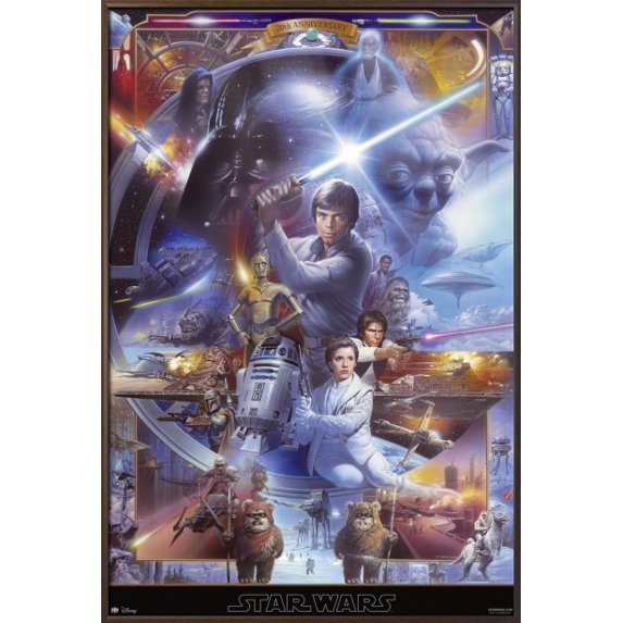 Star Wars: Episode IV, V & VI - Framed Movie Poster / Print (Anniversary Edition - Character & Spaceship Montage) (Size: 24" x 36")