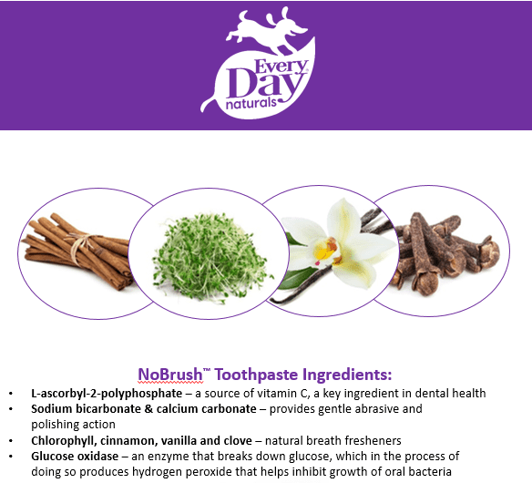 Every Day Naturals No Brush Toothpaste for Dogs Dental Health - Small