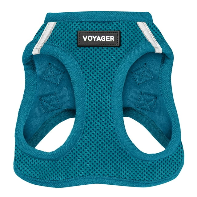 Malla Harness Best Pet Supplies para todo tipo de clima para perros y gatos pequeños y medianos, color turquesa XXS