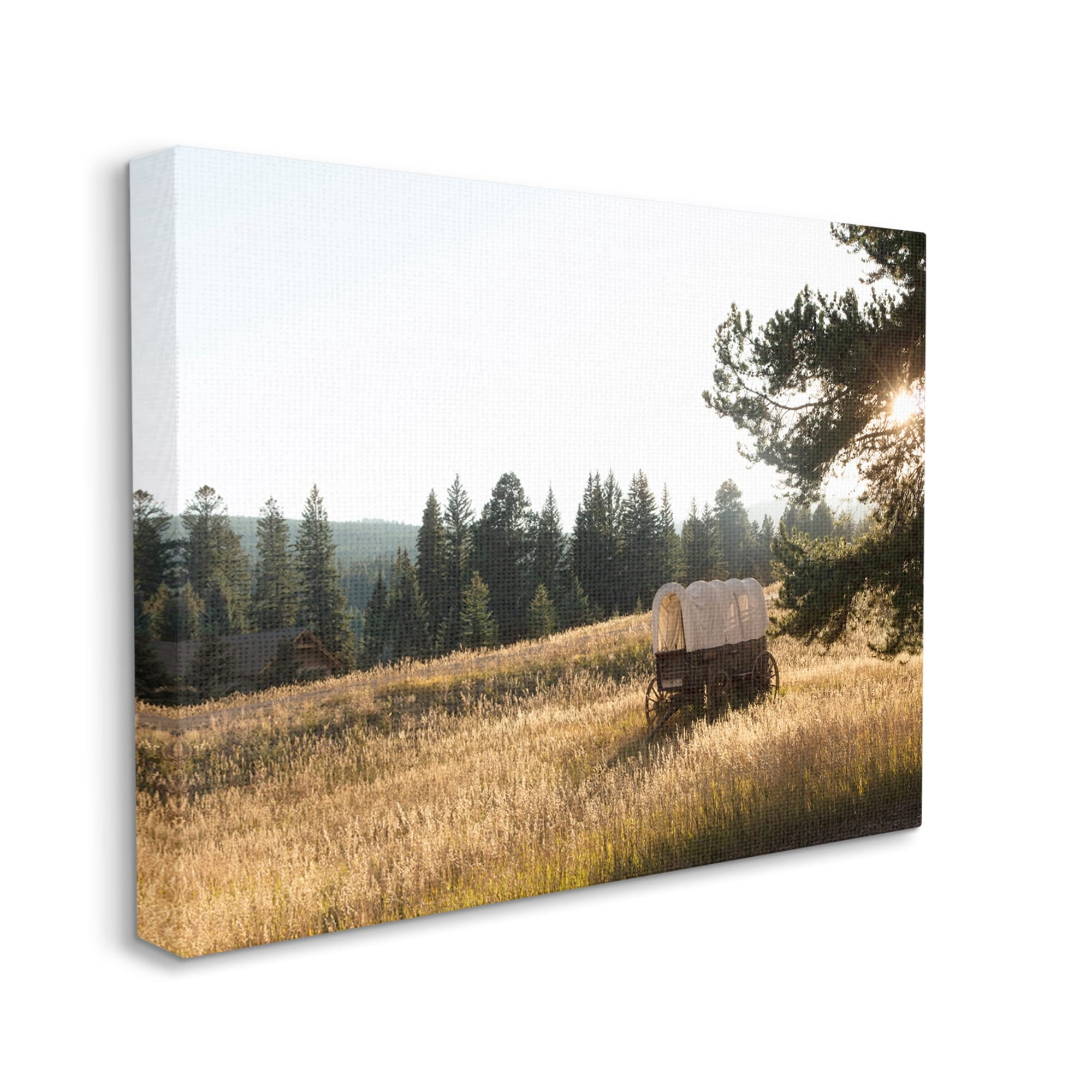 Stupell Times Past Rural Country Carriage Landscape Photography Gallery Wrapped Canvas Print Wall Art