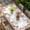 White Light Yellow, variant on Spring Lavender Table Cloths for 4 Foot Rectangle Tables, Watercolor Floral Daisy Botanical Retro Beige Patio Waterproof Elastic Fitted Tablecloths, Washable Rectangular Table Cover for Camping