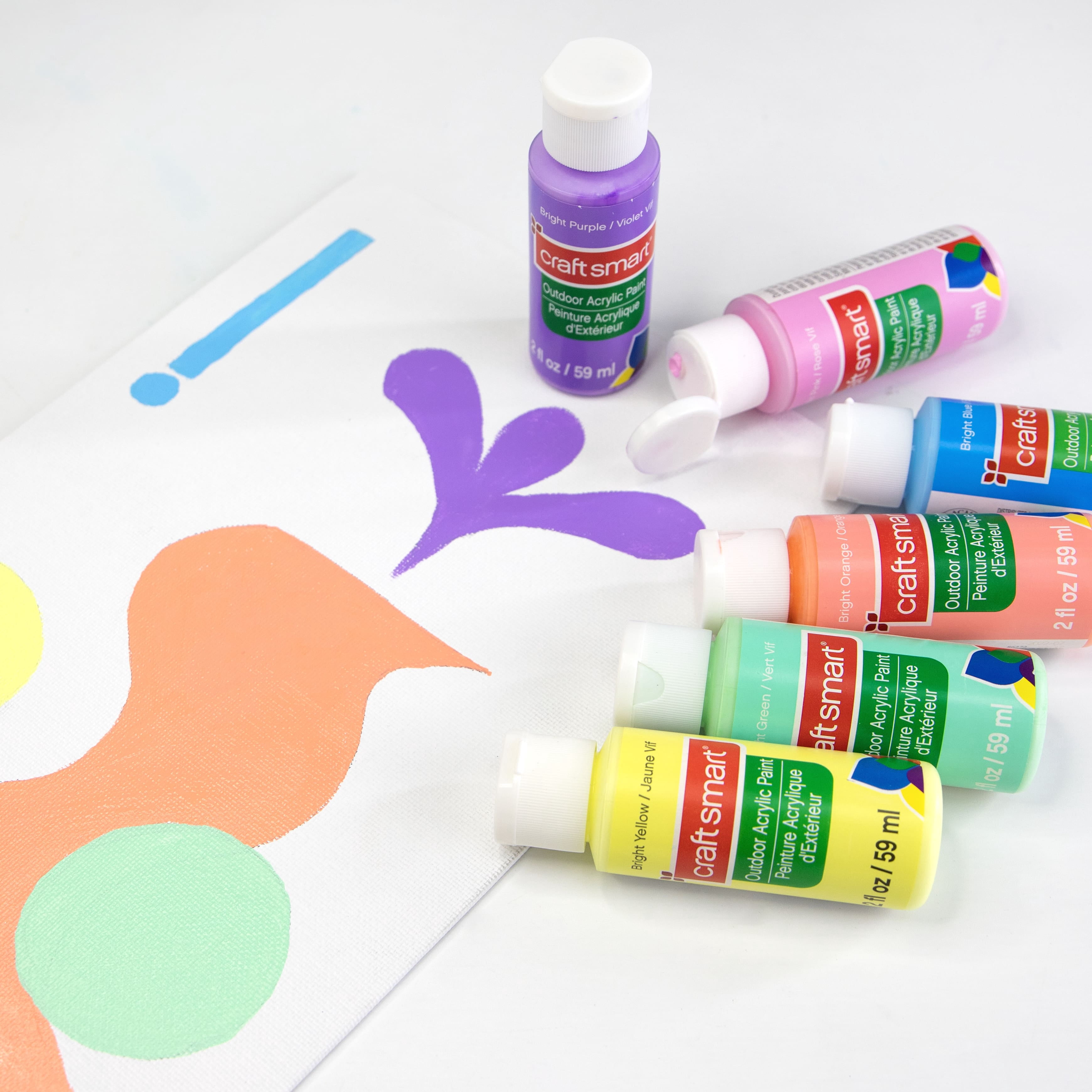 Craft Smart 2oz. Bright Outdoor Acrylic Paint, 12 Pack