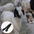 thumbnail image 4 of MIANGASTORE 10Pcs Quick Release Goat Collars Horse Cow Collars Small Farm Animal Accessories, 4 of 8