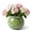 Sage Green, variant on EFISPSS Hand-Patted Glaze Self Watering Ceramic Planter with Inner Clay Pot, 6 Inch Terracotta Orange African Violet Pots, Indoor Herb & Plant Pot, Home Decor