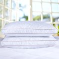 thumbnail image 1 of Puredown® White MediumFirm Down Pillow set of 2, 1 of 5