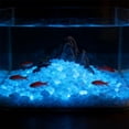 thumbnail image 4 of Bomd 1000pcs 3-5mm Purple Glow Stones Glowing Aquarium Fish Tank Decorations ,Bulk Pebble Craft Small Landscaping Glow Sand Stone for Potted Plant Succulent Decor (Purple), 4 of 6