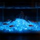 thumbnail image 4 of Arena que brilla en la oscuridad para paisajismo de acuarios: grava fluorescente para la decoración de bordes de jarrones, piedras luminosas para el sustrato de peceras, decoración del hogar., 4 of 6