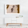 thumbnail image 2 of The Swamp - Florida Photography Wildlife Animal Aquatic Nature Water Jungle Marine Life White Framed Wall Art Print 5 x 7 inches, 2 of 3