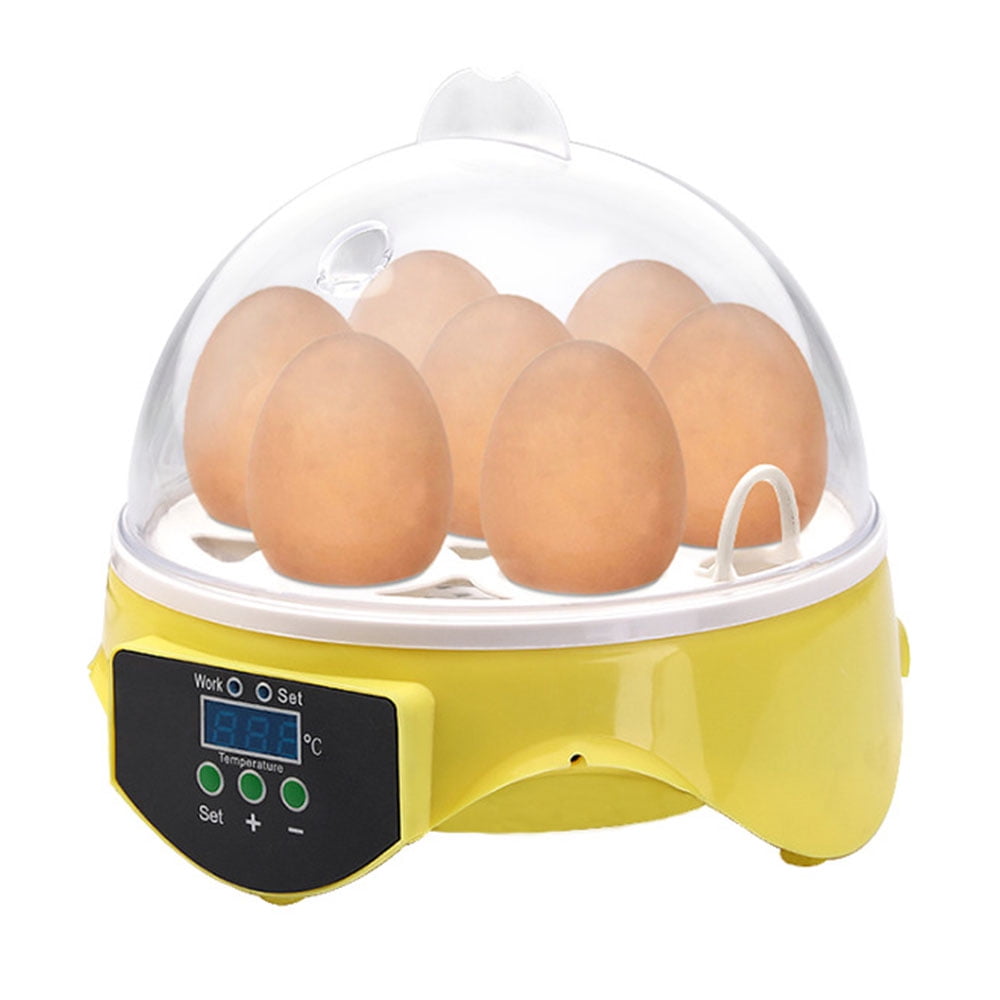egg incubator temperature