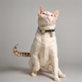 thumbnail image 3 of Unique Bargains Cat Collar Adjustable Breakaway Feature PU Cat Collar Breakaway with Bell Green, 3 of 7