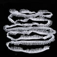 thumbnail image 4 of Sequin Trim, Wear Resistant Polyester Silk Delicate DIY Lace Craft  For Cloth Making For Gift Packaging Red,Pink,Blue,Purple,White, 4 of 8